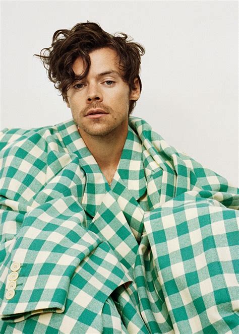 harry styles gucci campaign meaning|alessandro michele gucci style.